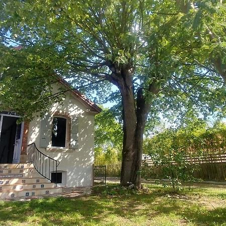 Villa Garona Avec Billard Proche Pyrenees Cazeres Eksteriør billede