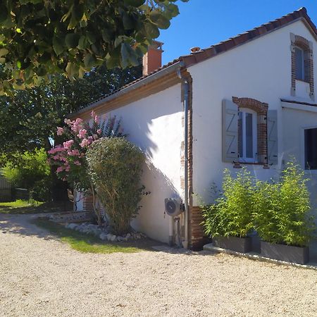 Villa Garona Avec Billard Proche Pyrenees Cazeres Eksteriør billede